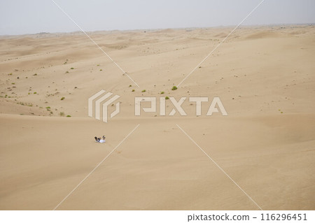 Abu Dhabi, United Arab Emirates - 2 May 2024: Desert Rub' al Khali in United Arab Emirates Abu Dhabi, United Arab Emirates - 2 May 2024: Desert Rub' al Khali in United Arab Emirates 116296451