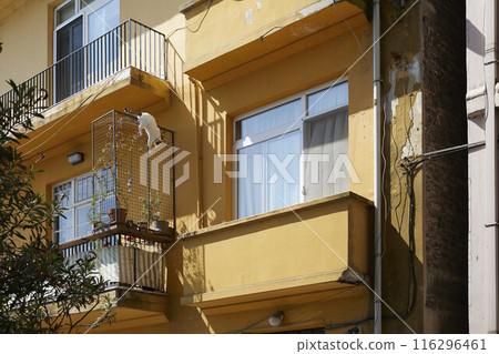 Daily life on the streets of Istanbul 116296461