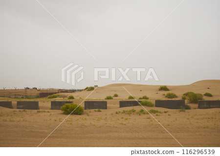 Desert Rub' al Khali in United Arab Emirates 116296539