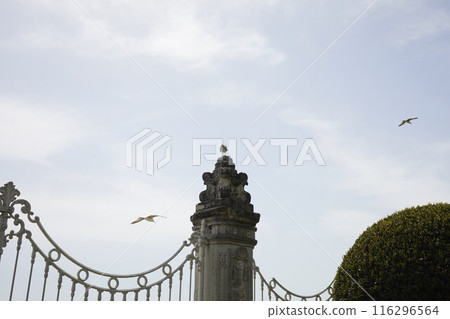 Yard of Dolmabahce Palace. Birds and sky Yard of Dolmabahce Palace. Birds and sky 116296564