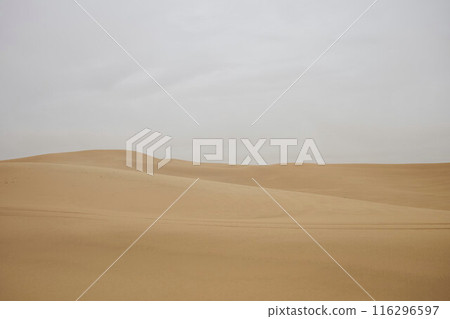 Desert Rub' al Khali in United Arab Emirates 116296597