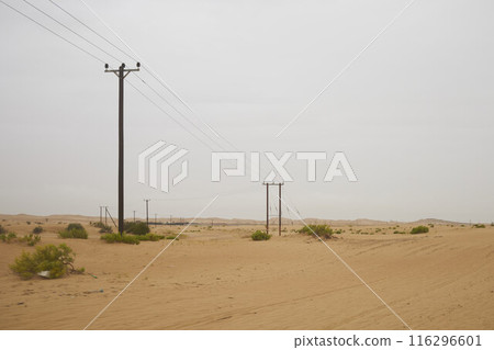 Desert Rub' al Khali in United Arab Emirates 116296601