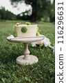 Enchanted Cake Oasis on the park 116296631