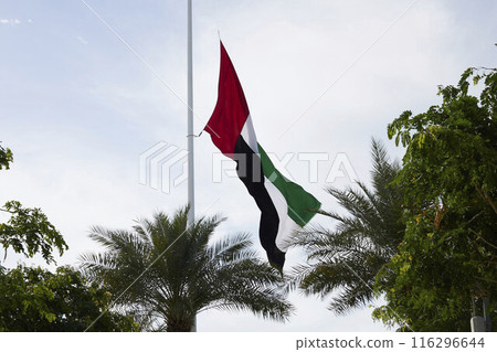 Flag of UAE near Louvre Abu Dhabi 116296644