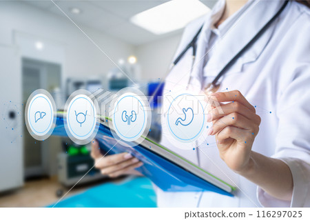 Doctor working on a screen with data from internal organs. Doctor working on a screen with data from internal organs. 116297025