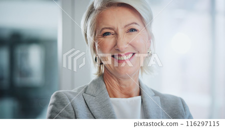 Happy, office and portrait of mature woman with positive attitude for leader in legal career. Smile, confident and female attorney ceo from Canada with pride for corporate law in workplace. 116297115