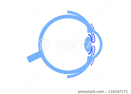 Fluids in the eye Fluids in the eye 116297171