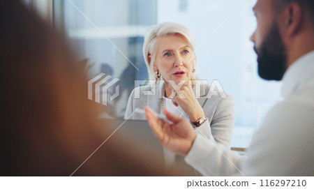 Business people, meeting and cooperation with planning, company merger and negotiation for financial review. Staff, group and employees with discussion, partnership and feedback for budget and audit 116297210