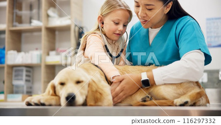 Vet, woman and stethoscope for dog with child, care or listen for health, cardiology and breathing with wellness. Girl, doctor and golden retriever with assessment, exam and lungs at animal hospital Vet, woman and stethoscope for dog with child, care or listen for health, cardiology and breathing with wellness. Girl, doctor and golden retriever with assessment, exam and lungs at animal hospital 116297332