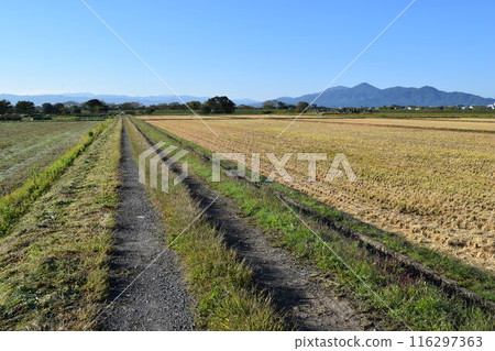 Farm road and rural scenery Shonai, Yamagata Prefecture 116297363