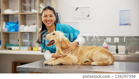 Happy woman, portrait and veterinarian with dog for animal checkup, visit or healthcare at shelter. Young asian female person or veterinary with smile for medical pet care or treatment at clinic Happy woman, portrait and veterinarian with dog for animal checkup, visit or healthcare at shelter. Young asian female person or veterinary with smile for medical pet care or treatment at clinic 116297390