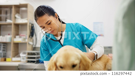 Vet, woman and stethoscope for dog in clinic, care or listen for health, cardiology or breathing with wellness. People, doctor and golden retriever pet in assessment, exam or lungs at animal hospital 116297442