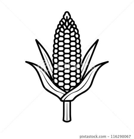 Corn icon or modern line symbol. Vector line art and icon design with bold outline. Black and white Pixel Perfect minimalistic symbol isolated white background. Silhouette simple thin sign 116298067