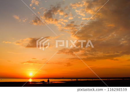 Sea sandy beach. An inspiring beach, a seascape on the horizon.  116298539