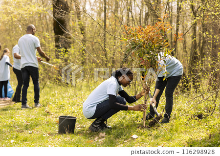Team of two activists doing voluntary work to plant trees in the forest, protecting natural forest habitat. Planting seedings for future generations, preserving life and helping the planet. Team of two activists doing voluntary work to plant trees in the forest, protecting natural forest habitat. Planting seedings for future generations, preserving life and helping the planet. 116298928