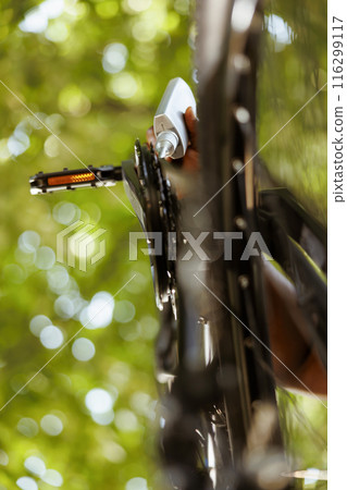 Detailed shot of modern bicycle chain being lubricated with specialized grease for safe outdoor leisure cycling. Image showing bike disc brake and chain ring being greased with professsional lube. 116299117