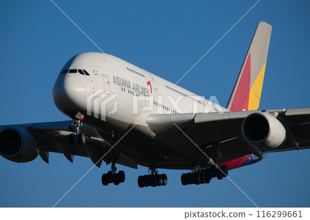 Asiana Airlines Asiana Airlines 116299661