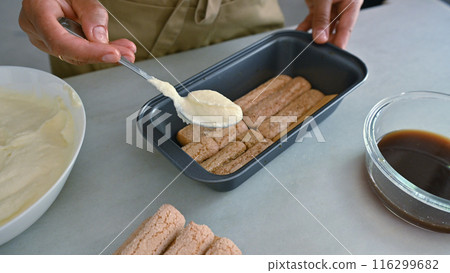 Person making tiramisu with ladyfingers and cream Person making tiramisu with ladyfingers and cream 116299682