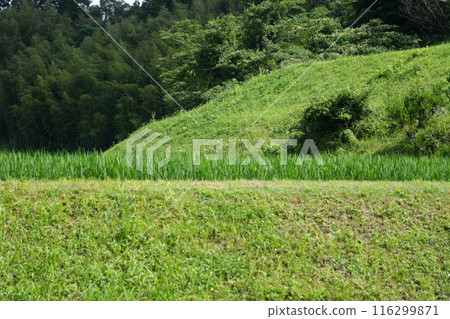 奧出雲大谷梯田 116299871