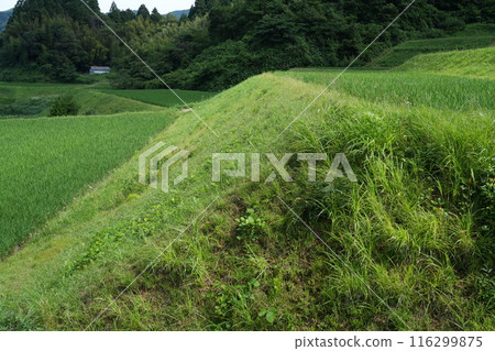 Okuizumo Oiya rice terraces 116299875