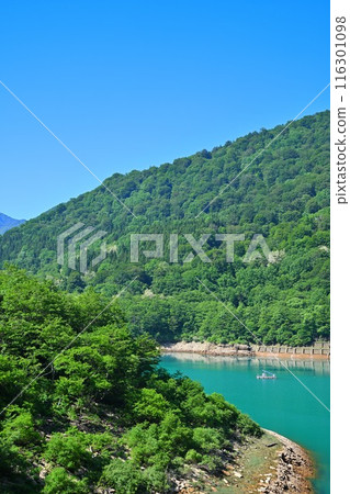 新井水壩 翡翠綠 新井水壩 湯澤湖町 116301098