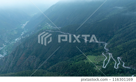Aerial view of beautiful forest mountain landscape in tibet,China 116301169