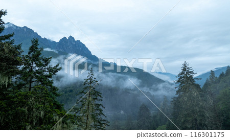 Beautiful high altitude foggy forest mountain landscape 116301175