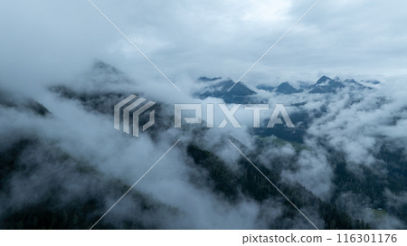 Beautiful high altitude foggy forest mountain landscape 116301176