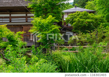Old private house garden 116301403