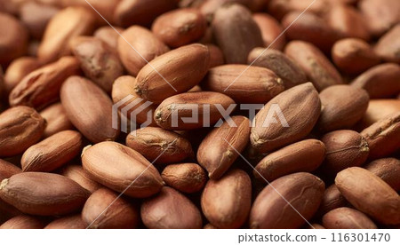 Close-up image of cocoa beans 3 116301470