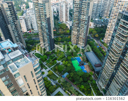 Aerial view of landscape in shenzhen city, China Aerial view of landscape in shenzhen city, China 116301562