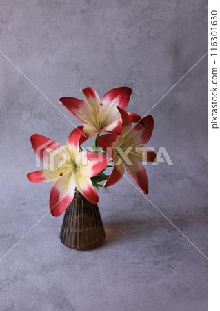 花瓶裡的百合花 116301630