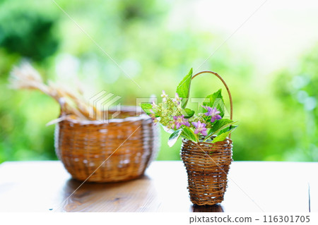 Hydrangeas and wheat in a basket on a windowsill overlooking the garden 116301705