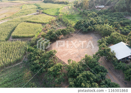 Land and soil backfill in aerial view in in Nan province of Thailand. 116301868