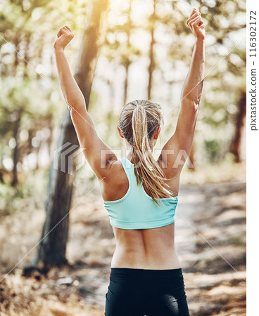 Woman, nature and stretching arms for warm up, runner and training in woods for fitness in routine. Female person, back and flexibility for muscle or athlete for wellness, forest path and prepare Woman, nature and stretching arms for warm up, runner and training in woods for fitness in routine. Female person, back and flexibility for muscle or athlete for wellness, forest path and prepare 116302172