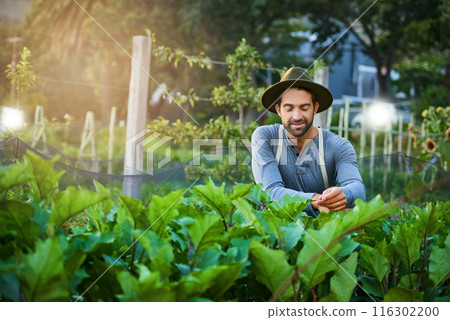 Garden, man and thinking of agriculture, sustainability and eco farming work in the countryside. Smile, farmer and field with plants, vegetables and outdoor with gardening and food growth project 116302200