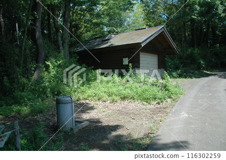 樹苗經過的町田市下著小山田町小山田綠地的樹木和風景。 樹苗經過的町田市下著小山田町小山田綠地的樹木和風景。 116302259