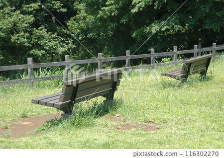 樹苗經過的町田市下著小山田町小山田綠地的樹木和風景。 樹苗經過的町田市下著小山田町小山田綠地的樹木和風景。 116302270