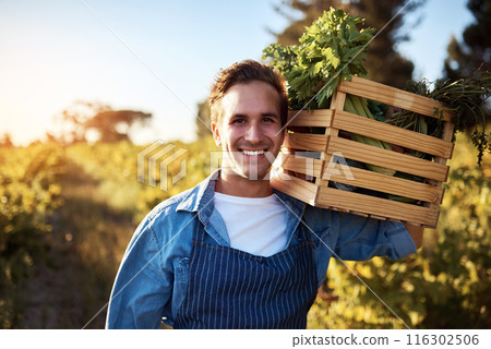 Portrait, farmer and man with smile, vegetables and agriculture with sunshine, fresh food and sustainability. Organic produce, face and guy with plants, summer and nature with nutrition and harvest 116302506