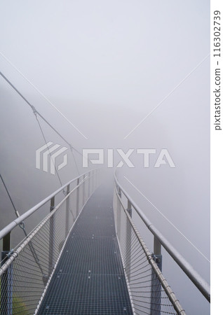 First Cliff Walk in Bad Weather [Grindelwald, Switzerland] 116302739