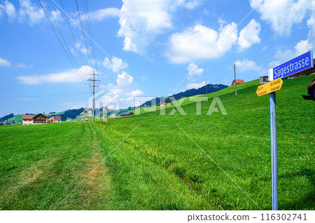 Hiking trail through the meadows [Appenzell, Switzerland] 116302741