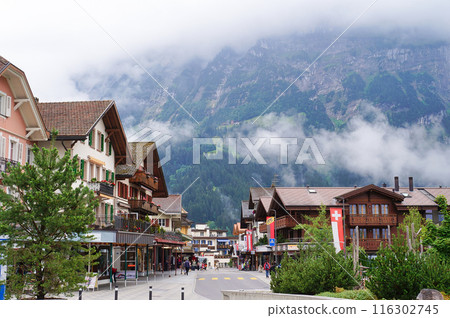 Dorfstrasse in Grindelwald on a cloudy day [Switzerland] 116302745