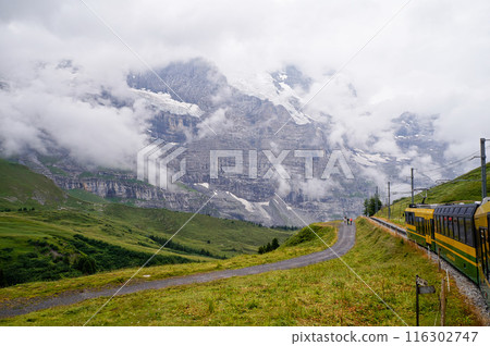 Alpine hiking trail on a cloudy day [Kleine Scheidegg, Switzerland] 116302747