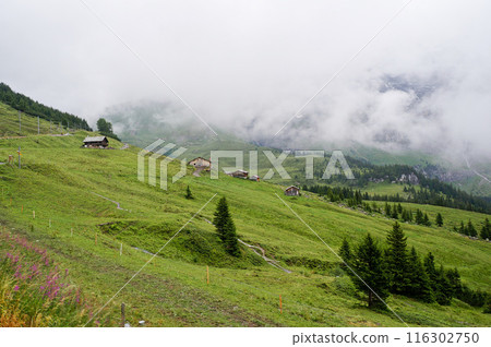 Alpine hiking trail on a cloudy day [Kleine Scheidegg, Switzerland] 116302750