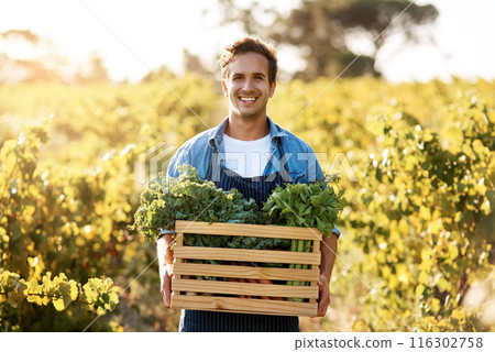 Agro, box and portrait with man on farm for agribusiness, growth or sustainability. Agriculture, crate and smile of confident farmer outdoor in field for ecology, grocery market or harvest produce Agro, box and portrait with man on farm for agribusiness, growth or sustainability. Agriculture, crate and smile of confident farmer outdoor in field for ecology, grocery market or harvest produce 116302758