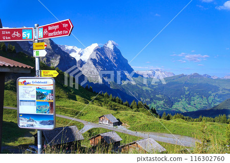 View from the Grosse Scheidegg bus stop [Grindelwald, Switzerland] 116302760