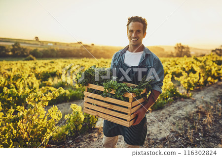 Farming, harvest and portrait of man with box for vegetables, production and growth in nature. Happy, farmer and container with organic produce for small business, agriculture and sustainability Farming, harvest and portrait of man with box for vegetables, production and growth in nature. Happy, farmer and container with organic produce for small business, agriculture and sustainability 116302824