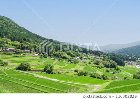 夏季的坂織梯田（岐阜縣惠那市） 116302829