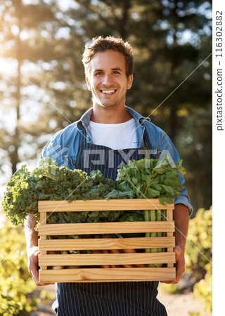 Crate, portrait and produce with man on farm for agribusiness, growth or sustainability. Agriculture, harvest or smile of confident farmer outdoor in field for ecology or grocery market with flare 116302882
