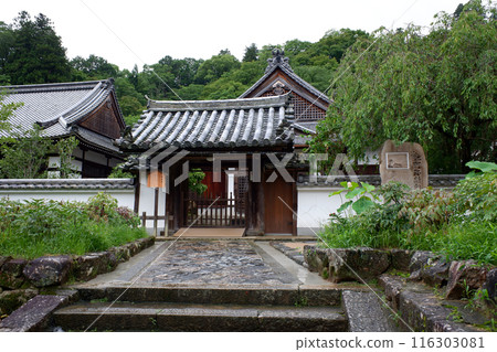 Nara Prefecture: Hasedera Temple and Kankiin Temple 116303081
